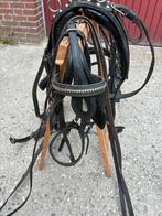 Enkelspantuig maat shetland/A pony, Dieren en Toebehoren, Ophalen, Gebruikt, Overige soorten