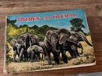Dieren van overal Plaatjes verzamelboek, Boeken, Ophalen of Verzenden, Gelezen