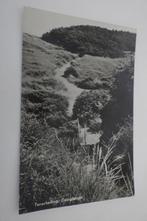 TERSCHELLING Duingletsjer, Ophalen, 1960 tot 1980, Gelopen, Waddeneilanden