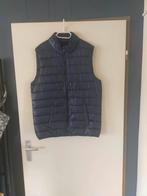 Nieuw bodywarmer kleur donker blauw maat l merk chapter, Kleding | Heren, Bodywarmers, Nieuw, Maat 52/54 (L), Blauw, Ophalen of Verzenden