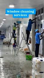 Cleaning:, Overige vormen, Vanaf 5 jaar, Overige niveaus, Geschikt als bijbaan