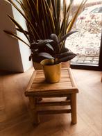 Bamboe planten tafeltje of krukje, Huis en Inrichting, Ophalen of Verzenden, Zo goed als nieuw, Hout