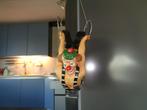 Beschrijving Clown in de ringen, Verzenden, Gebruikt