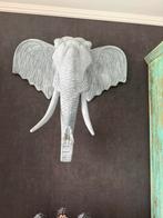 Olifantenkop voor aan de muur, Ophalen