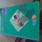 C.A. Abrahamse - Theorieboek, Ophalen of Verzenden, Zo goed als nieuw, C.A. Abrahamse; A.F.M. Meijssen; P. Mocking, Nederlands
