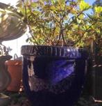 Grote dikke schitterende neonblauwe bloempot 50-60cm, Tuin en Terras, Bloempotten, 40 cm of meer, Rond, Zo goed als nieuw, Terracotta