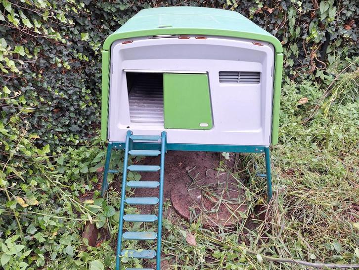 Omlet Eglu Cube kippenhok groen, Dieren en Toebehoren, Pluimvee | Toebehoren, Gebruikt, Kippenhok of Kippenren, Ophalen