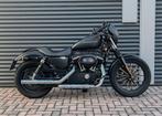 HARLEY-DAVIDSON SPORTSTER IRON XL 883 N (bj 2009), 2 cilinders, Bedrijf, 883 cc, Meer dan 35 kW