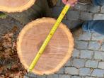 Amerikaanse Eik Boomstammen - 70cm hoog, Ø 27-34cm, Minder dan 3 m³, Ophalen, Eikenhout, Stammen