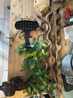 Terrarium spullen, Dieren en Toebehoren, Ophalen of Verzenden, Zo goed als nieuw, Terrarium of Paludarium