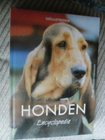 Honden Vraagbaak Bruce Fogle beschikbaar voor biedingen
