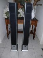 Staande Luidsprekers, Ophalen, Gebruikt, Magnat, 120 watt of meer