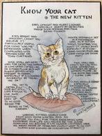 Know your cat - The new kitten - Dick Twinney - ZGAN, Ophalen of Verzenden