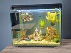 Mooi Aquarium incl.vissen en toebehoren, Dieren en Toebehoren, Ophalen, Zo goed als nieuw, Gevuld zoetwateraquarium