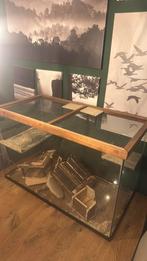 Terrarium Gerbil, Hamster, muis, knaagdieren, Dieren en Toebehoren, Ophalen, 60 tot 90 cm, Zo goed als nieuw, 75 tot 110 cm