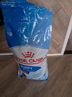 Royal canin pup maxi, Dieren en Toebehoren, Dierenvoeding, Ophalen of Verzenden, Hond