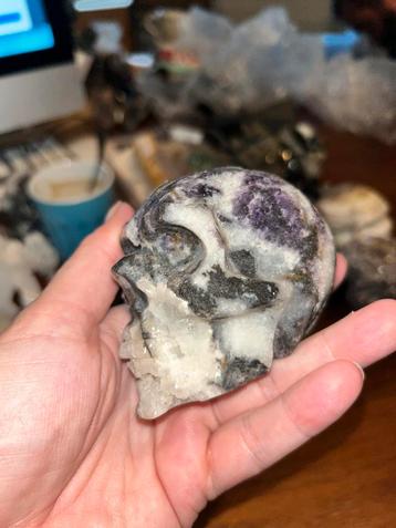 Zebra Skull met Druzy Kin beschikbaar voor biedingen