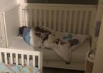 Kinderbed, Ophalen, Gebruikt, 70 tot 85 cm, 140 tot 160 cm