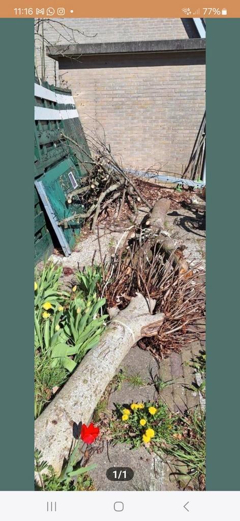 GRATIS boomstammen en takken voor haardhout, Tuin en Terras, Haardhout, Overige houtsoorten, Minder dan 3 m³, Ophalen of Verzenden