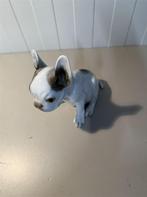 porcelein beeldje - Rosenthal French Bulldog - Thekla Harth, Verzamelen, Beelden en Beeldjes, Ophalen of Verzenden, Zo goed als nieuw