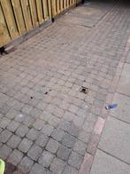 Cobblestones gratis, Ophalen, Gebruikt, Klinkers, Minder dan 5 m²