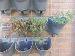 plantenbakken voor een groende muur, Ophalen, Kunststof, Gebruikt, Minder dan 30 cm