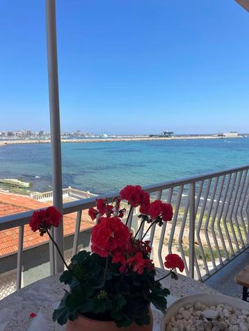 Appartement direct aan zee en het strand van Torrevieja beschikbaar voor biedingen