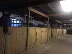 Paardenstalling, Dieren en Toebehoren, Stalling en Weidegang, Weidegang
