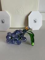 Swarovski slak op bessen, Ophalen of Verzenden, Zo goed als nieuw