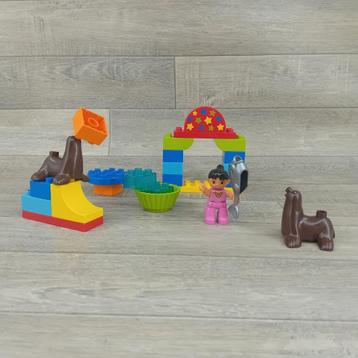 duplo zeehondenshow / circus beschikbaar voor biedingen