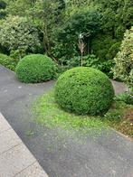 tuinman, Tuin en Terras, Grind, Keien en Split, Ophalen of Verzenden, Zo goed als nieuw, Overige materialen