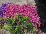 kunstbloemen roze paars fuchsia wit, Ophalen of Verzenden