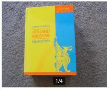 Holland Magyar Mollay Erzsebet beschikbaar voor biedingen