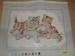 NIEUW Voorbedrukt stramien met 4 kittens. Verkoop ook DMC, Hobby en Vrije tijd, Borduren en Borduurmachines, Ophalen of Verzenden