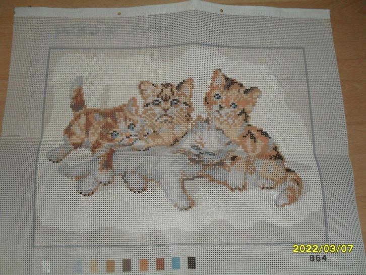 NIEUW Voorbedrukt stramien met 4 kittens. Verkoop ook DMC, Hobby en Vrije tijd, Borduren en Borduurmachines, Nieuw, Onderdeel of Toebehoren