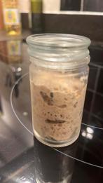 Biologische zuurdesem starter, Diversen, Levensmiddelen, Ophalen