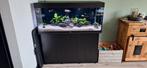 Juwel rio 240 aquarium met helialux spectrum compleet, Ophalen, Zo goed als nieuw, Gevuld zoetwateraquarium