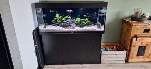 Juwel rio 240 aquarium met helialux spectrum compleet, Dieren en Toebehoren, Vissen | Aquaria en Toebehoren, Zo goed als nieuw