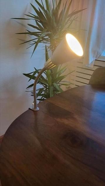 Leeslamp / Bureaulamp tafelmontage beschikbaar voor biedingen