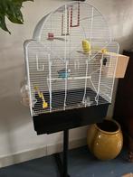 Gezocht; goed tehuis voor 2 parkieten., Dieren en Toebehoren, Vogels | Hokken en Kooien, Ophalen, Zo goed als nieuw, Metaal, Vogelkooi