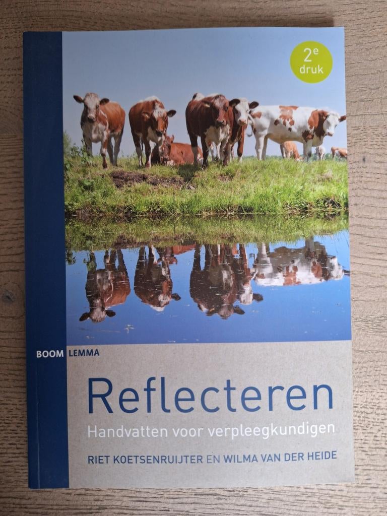Reflecteren - Handvatten voor verpleegkundigen, Boeken, Riet Koetsenruijter en Wilma van der Heide, Zo goed als nieuw, Alpha, HBO