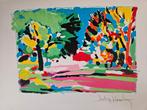 Victor Hasch Kleurenlitho, Antiek en Kunst, Kunst | Litho's en Zeefdrukken, Ophalen of Verzenden
