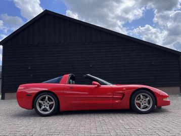 Chevrolet Corvette C5 Coupe EU-model 107 dkm NL kenteken beschikbaar voor biedingen