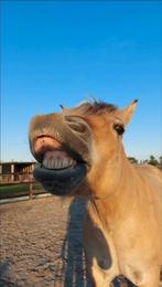 Bijrijder verzorgster aangeboden Heemskerk, Ophalen of Verzenden, Nieuw