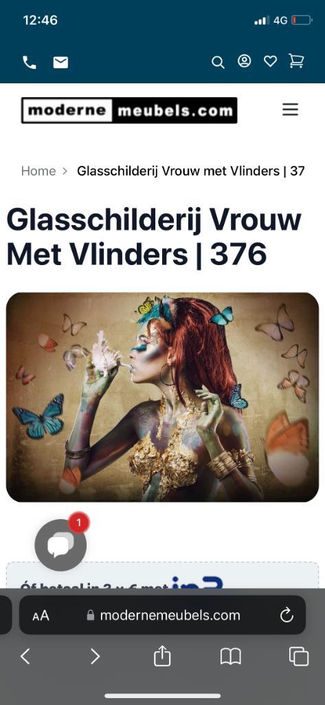 Schilderij vrouw met vlinders plexiglas, Huis en Inrichting, Woonaccessoires | Schilderijen, Tekeningen en Foto's, Zo goed als nieuw