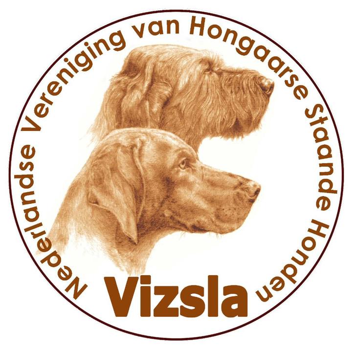 Vizsla pup, Dieren en Toebehoren, Honden | Setters en Staande honden, Geslacht onbekend, Overige rassen, Particulier, Meerdere