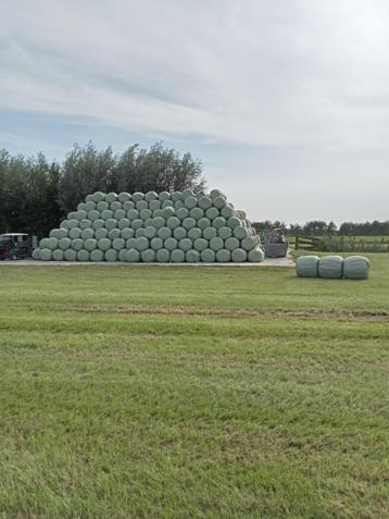 TOP paarden hooi/voordroog gras/kuilvoer/hooibalen/midibalen beschikbaar voor biedingen