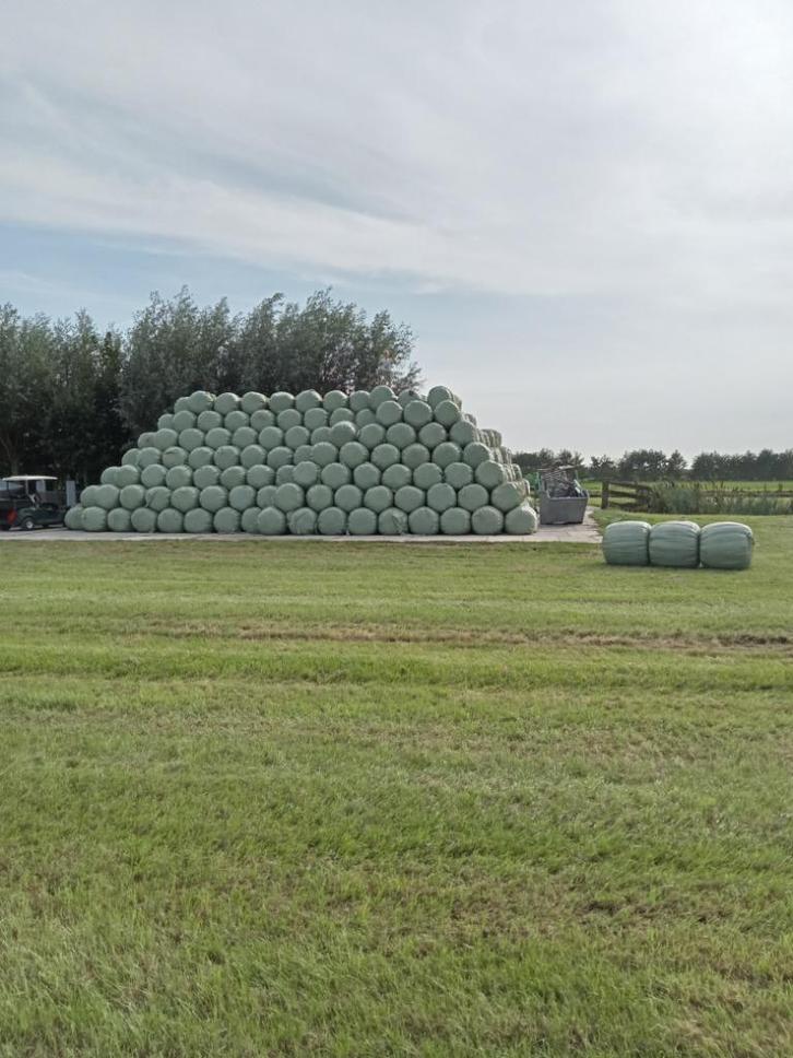 TOP paarden hooi/voordroog gras/kuilvoer/hooibalen/midibalen, Dieren en Toebehoren, Stalling en Weidegang, Opfok, Stalling, Weidegang