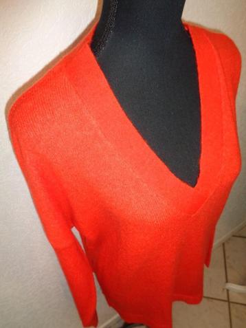 nieuw maat 48 oksel tot oksel 63 cm beschikbaar voor biedingen