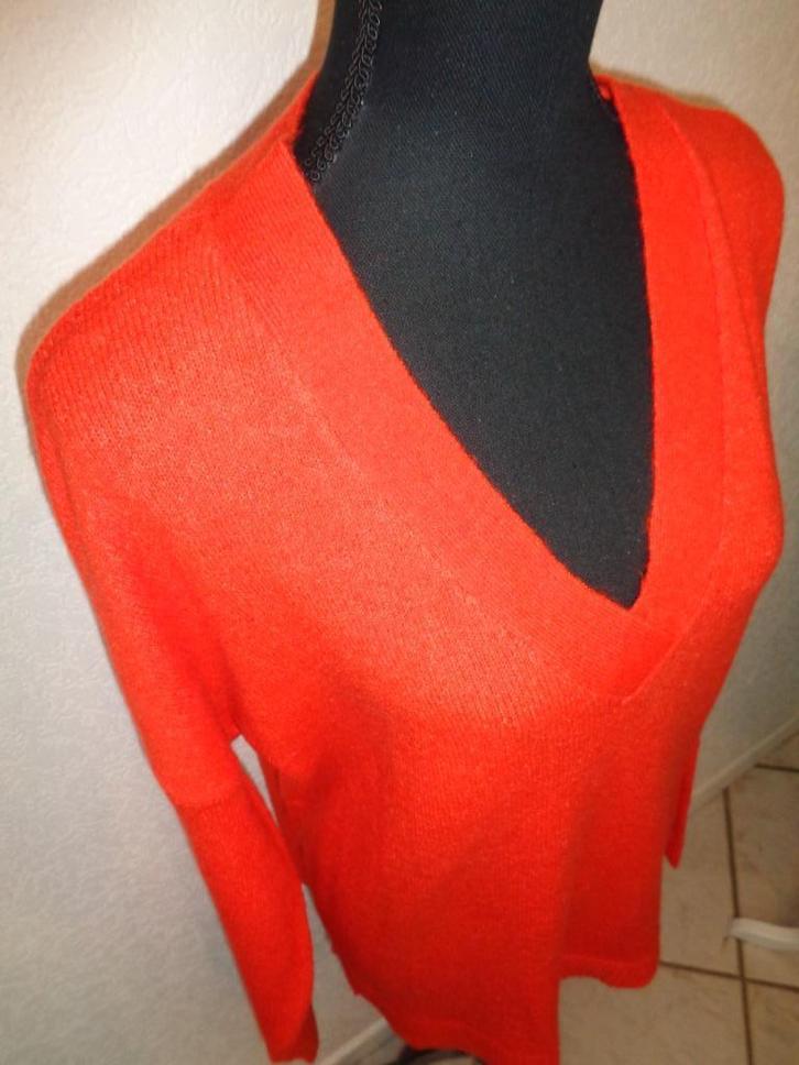 nieuw maat 48 oksel tot oksel 63 cm, Kleding | Dames, Truien en Vesten, Nieuw, Maat 46/48 (XL) of groter, Oranje, Ophalen of Verzenden